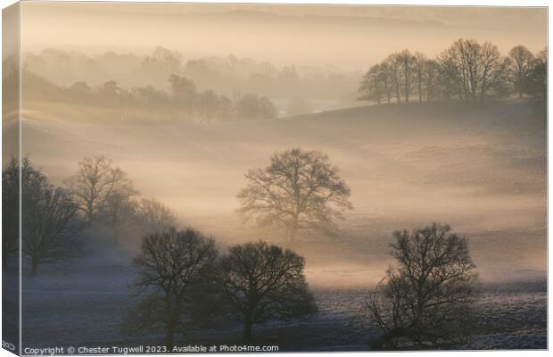 Petworth Park - Winter's Morning  Canvas Print by Chester Tugwell