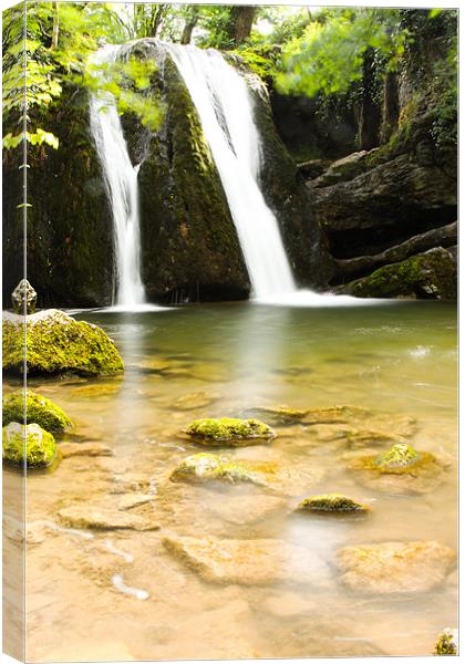Janets Foss Canvas Print by sam short