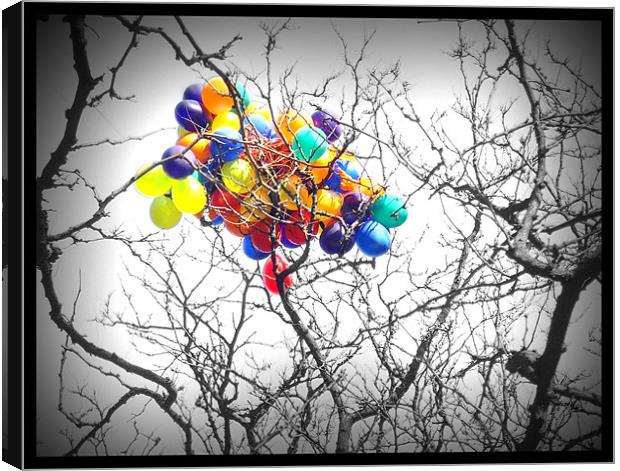 Lost Balloons In New York Canvas Print by Terry Lee
