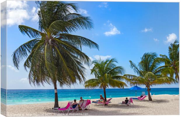The Ultimate Tropical Getaway Canvas Print by Peter Thomas