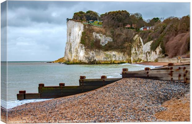 Majestic White Cliffs Canvas Print by Peter Thomas