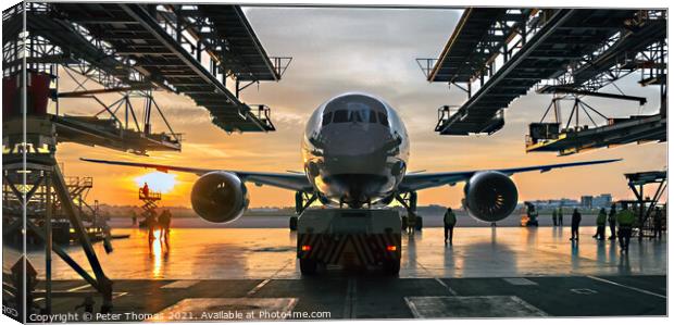 A Marvel of Aviation Engineering the Dreamliner Canvas Print by Peter Thomas