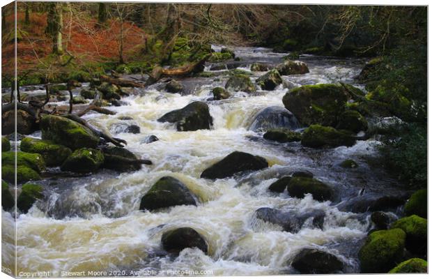 River at Dewerstone Canvas Print by Stewart Moore