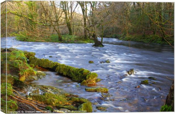View on the River Dart Canvas Print by Stewart Moore