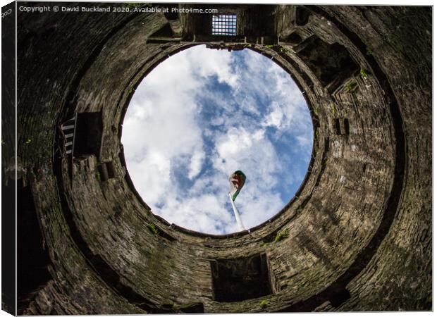 Conwy Casle Canvas Print by David Buckland