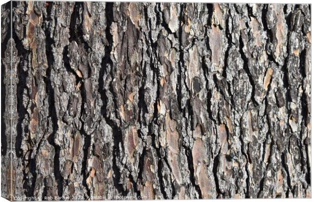 Abstract bark Canvas Print by Rob Barber