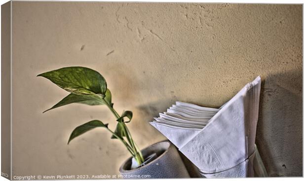 Wall, Plant and Napkin  Canvas Print by Kevin Plunkett