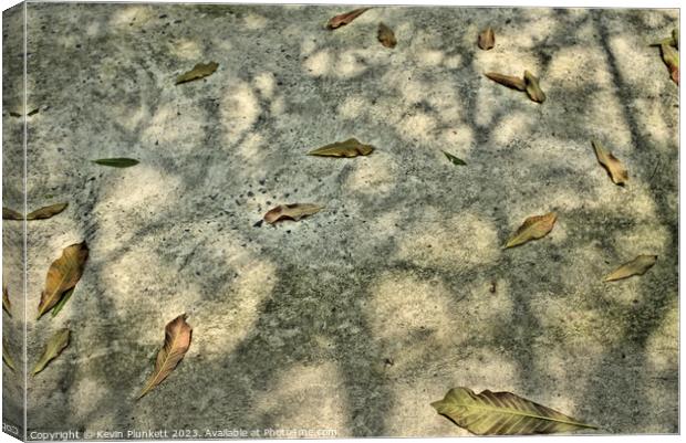 Leaf's and shadows on Saigon ( Ho Chi Minh City ) sidewalk Canvas Print by Kevin Plunkett