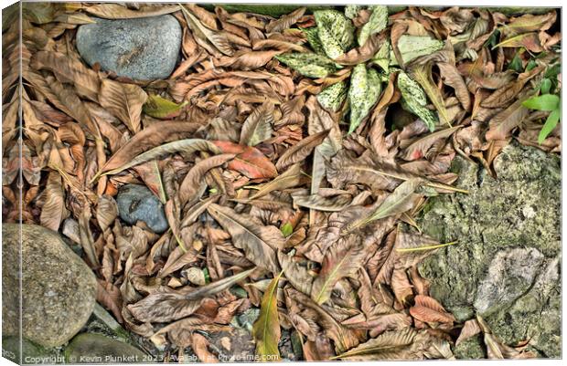 Rocks, leaf's and plants  Canvas Print by Kevin Plunkett
