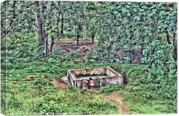 A water tank in a forest. Sri Lanka Canvas Print by Kevin Plunkett
