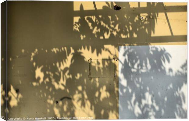 Shadows on a wall Canvas Print by Kevin Plunkett