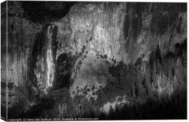Bridalveil Fall, Yosemite in black and white Canvas Print by harry van Gorkum