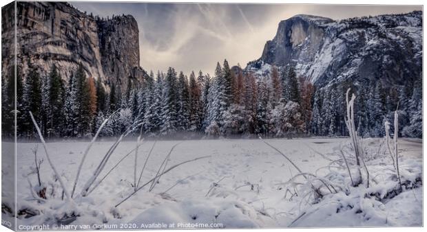 Half Dome in Yosemite in snow Canvas Print by harry van Gorkum