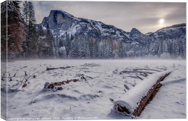 Half Dome in Yosemite in snow with fall trees in t Canvas Print by harry van Gorkum