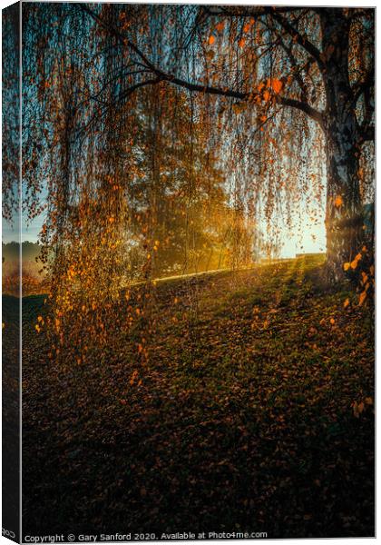 Essex Autumn Morning Canvas Print by Gary Sanford
