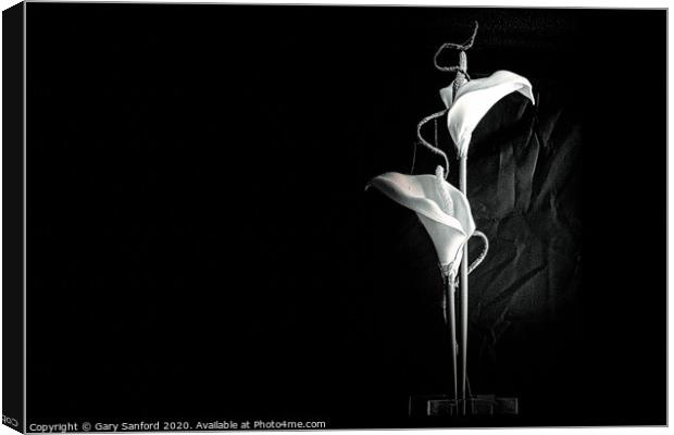 A Study in Black and White Canvas Print by Gary Sanford