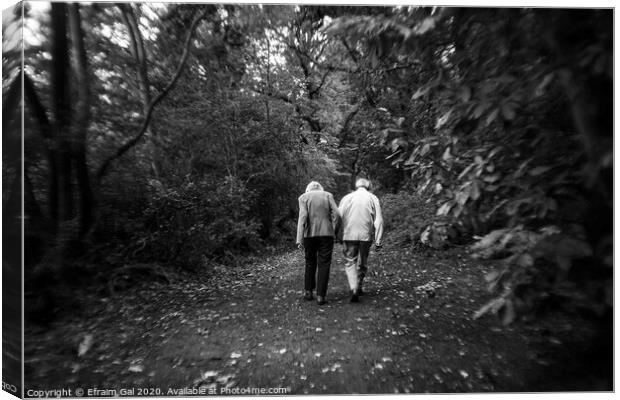 Old couple walking Canvas Print by Efraim Gal