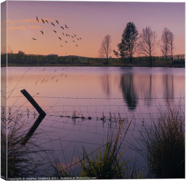 Secret Lake at Sunset with birds Canvas Print by Heather Sheldrick