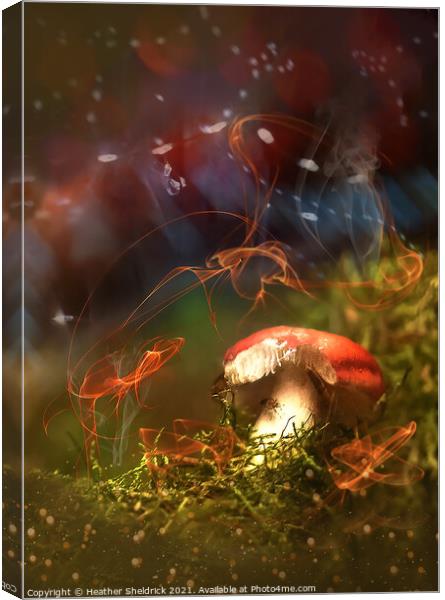 Magical Mushroom Canvas Print by Heather Sheldrick