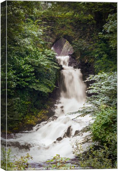 Ingleborough Waterfall with Bridge Canvas Print by Heather Sheldrick