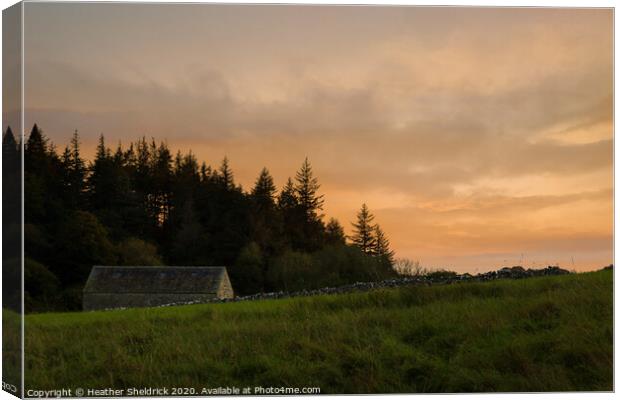 Barn near Malham at Sunset Canvas Print by Heather Sheldrick