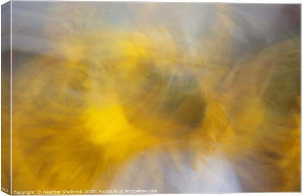 Abstract Sunflowers In Motion Canvas Print by Heather Sheldrick