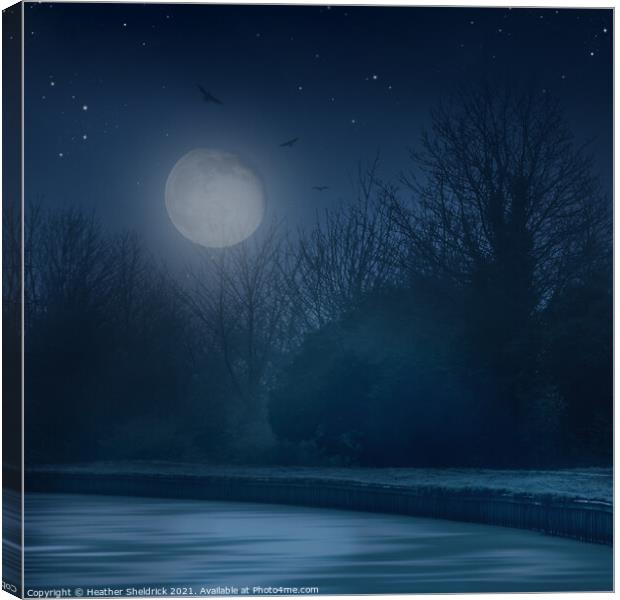 Canal Under Starry Moonlit Sky Canvas Print by Heather Sheldrick