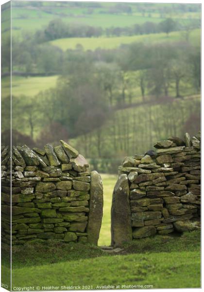 Drystone wall and stile Canvas Print by Heather Sheldrick