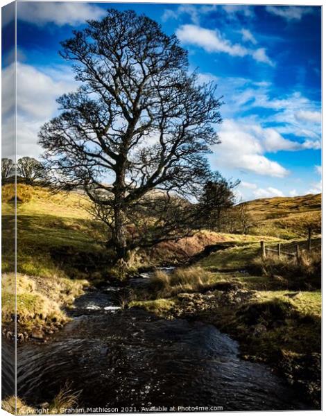 The Stream  Canvas Print by Graham Mathieson