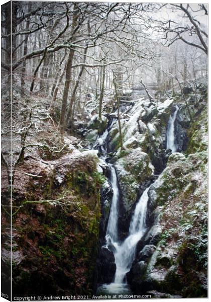Snowy Falls Canvas Print by Andrew Bright