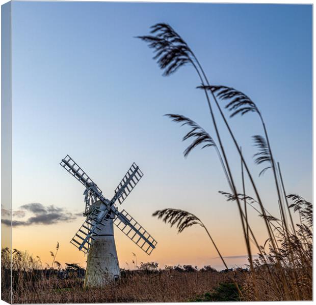 Sunrise at Thurne Mill, Norfolk Broads  Canvas Print by Lesley Moran