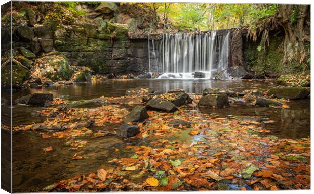Autumn Waterfall Canvas Print by Lesley Moran
