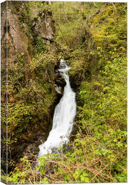 Gorge Falls at Mill Glen, Tillicoutry Canvas Print by Ken Hunter