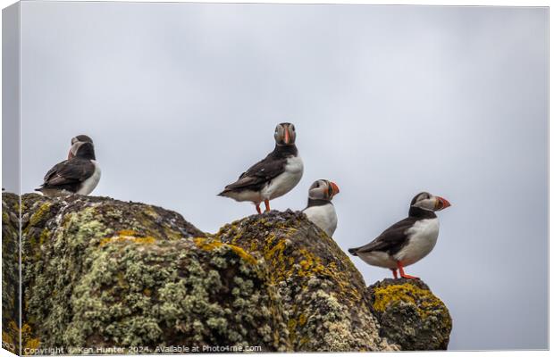 Puffins on Sentry Canvas Print by Ken Hunter