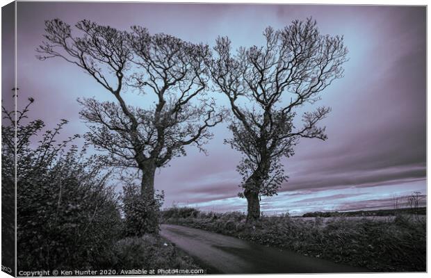 The Kissing Trees, Kinghorn Canvas Print by Ken Hunter