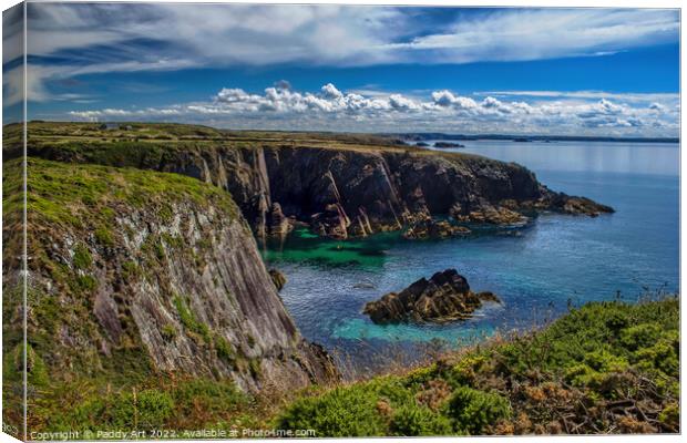 St. Non's Bay, Pembrokeshire Canvas Print by Paddy Art