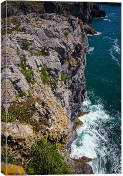 Rock Climber Canvas Print by Paddy Art