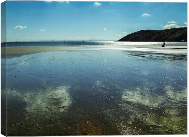 Reflecting on Oxwich Bay, Gower. Canvas Print by Paddy Art