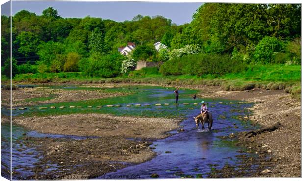 Watering the Horse at Cresswell - Pembrokeshire Canvas Print by Paddy Art
