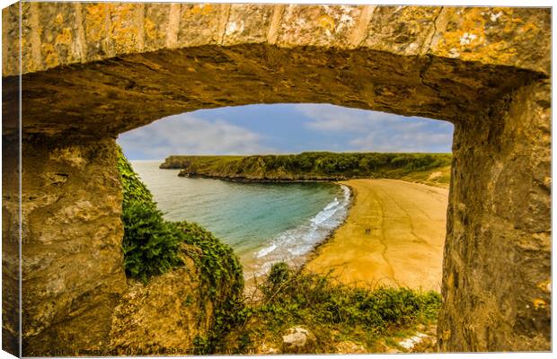 Through the Gate to Barafundle Bay. Canvas Print by Paddy Art