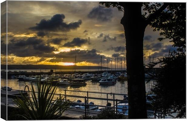 Saundersfoot Harbour Sunrise  Canvas Print by Paddy Art