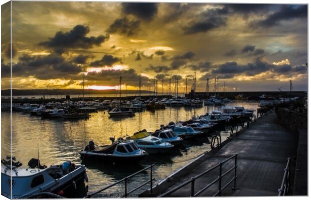 Saundersfoot Harbour - Welcome to the Day Canvas Print by Paddy Art