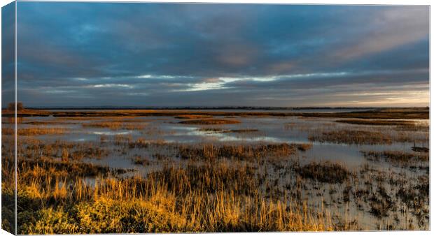Pagham Harbour Canvas Print by Paul Tyzack