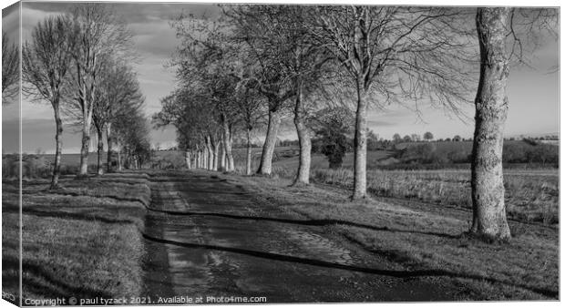 Tree lined avenue Canvas Print by Paul Tyzack