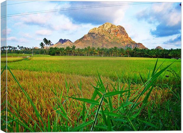 GREEN GRASS BELOW THE MOUNTAINS Canvas Print by NILADRI DAS