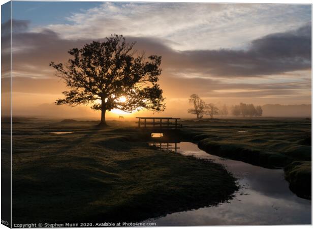 Sunrise, Longwater Lawn, New Forest National Park Canvas Print by Stephen Munn