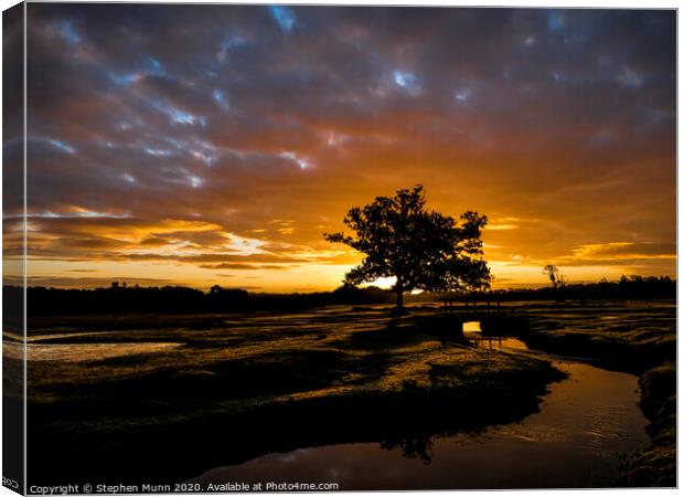 New Forest Awakening Canvas Print by Stephen Munn