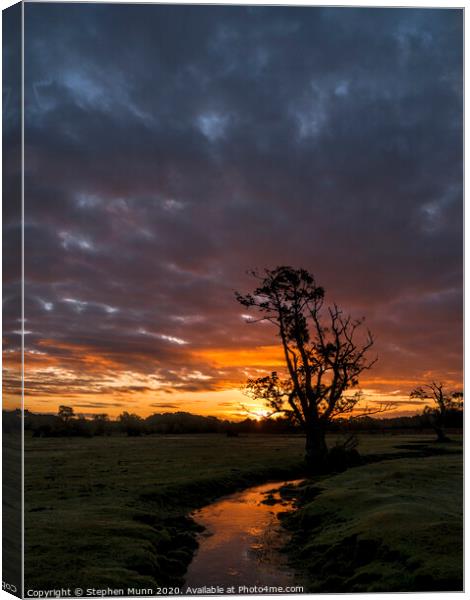 New Forest Stream Dawn Canvas Print by Stephen Munn