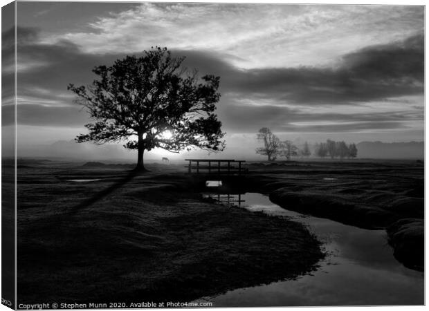 Sunrise, Longwater Lawn, New Forest National Park in black and white Canvas Print by Stephen Munn