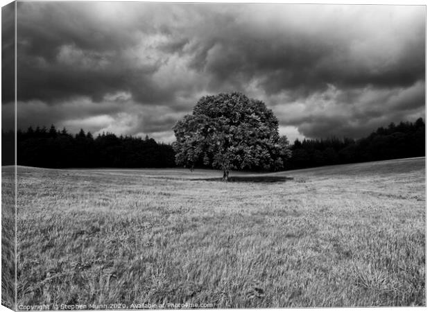 Black and While Lone tree with storm building Canvas Print by Stephen Munn